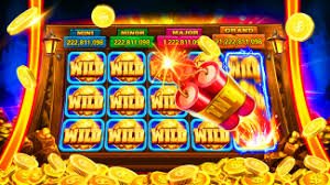 556 bet com