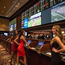 556 bet com