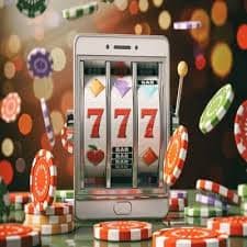 556 bet com