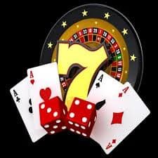 556 bet com