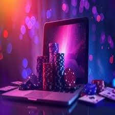 556 bet com