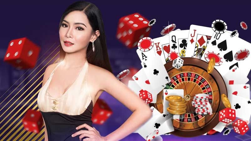 556 bet com