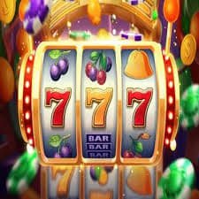 556 bet com