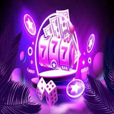 556 bet com